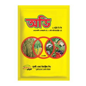 অডি ৬ ডব্লিউ ডি জি
