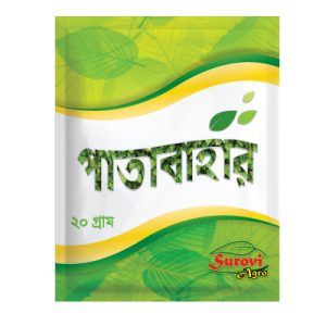 পাতাবাহার