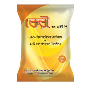 কেরি ৩০ ডব্লিউ পি