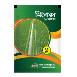 সিনোরন ১০ ডব্লিঊ পি