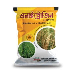 এনাইট্রোজিন ৮০ ডব্লিঊ ডি জি