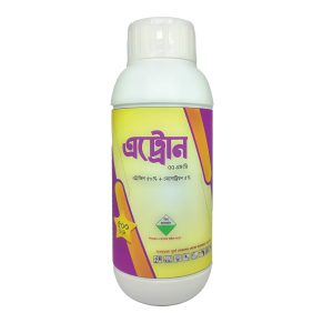 অ্যাট্রন ৫৫ এস এল