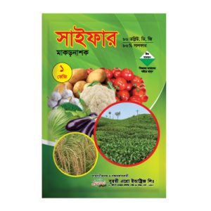 সাইফার ৮০ ডব্লিউ ডি জি