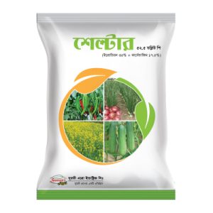 শেল্টার ৫২.৫ ডব্লিউ পি